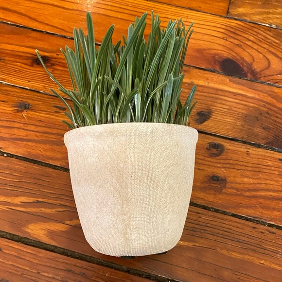 Realistic Fake Plant Green Grass Plant Mini Potted Artificial Plant in Pot - Picture 7 of 8